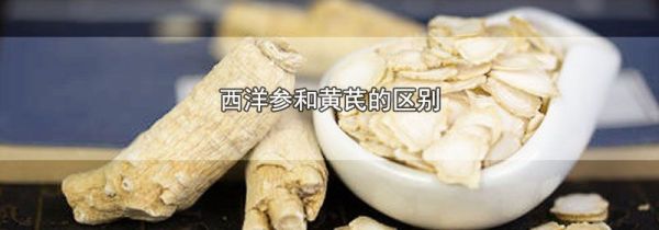 西洋参和黄芪的区别