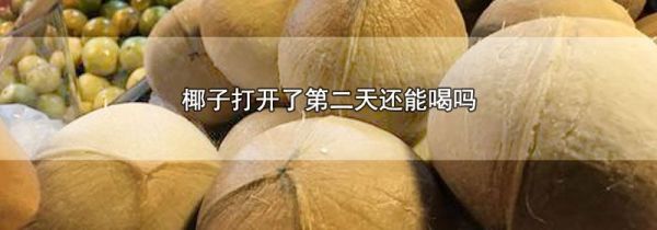 椰子打开了第二天还能喝吗