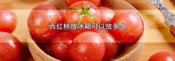 西红柿放冰箱可以放多久