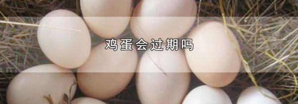 鸡蛋会过期吗
