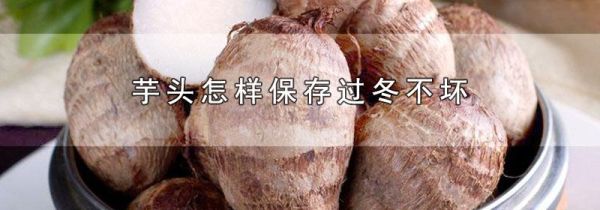 芋头怎样保存过冬不坏