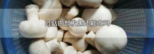 口菇内部发黑还能吃吗