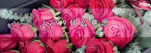 1299什么意思