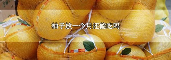 柚子放一个月还能吃吗