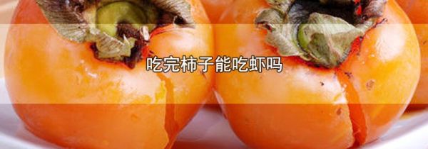 吃完柿子能吃虾吗