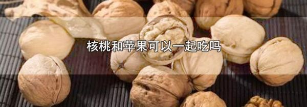 核桃和苹果可以一起吃吗