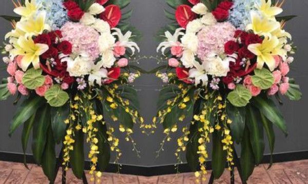 应援礼是什么意思