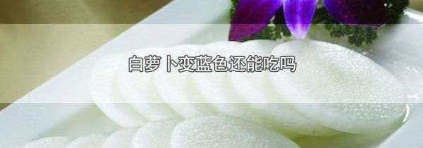 白萝卜变蓝色还能吃吗