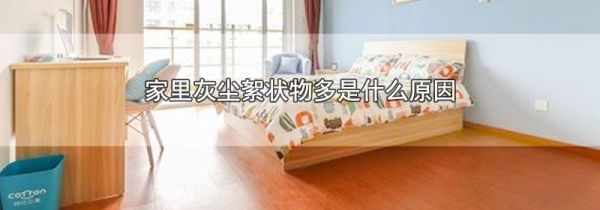 家里灰尘絮状物多是什么原因