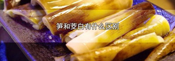 笋和茭白有什么区别