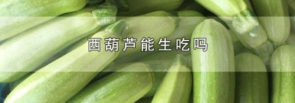西葫芦能生吃吗