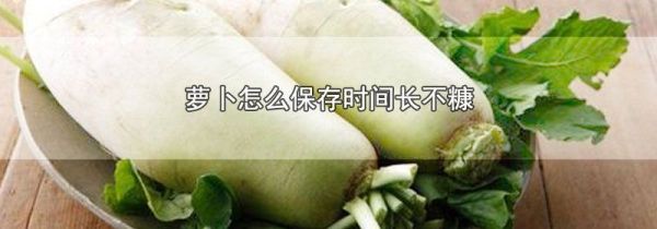 萝卜怎么保存时间长不糠