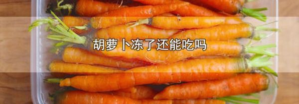 胡萝卜冻了还能吃吗