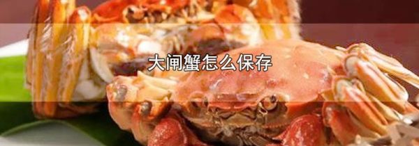 大闸蟹怎么保存