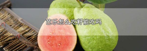 芭乐怎么吃籽能吃吗