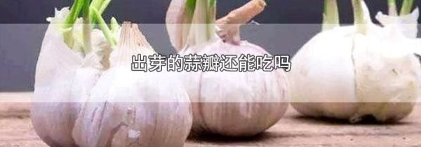 出芽的蒜瓣还能吃吗