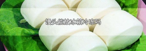 馒头能放冰箱冷冻吗