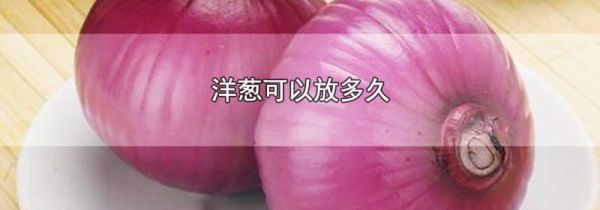洋葱可以放多久