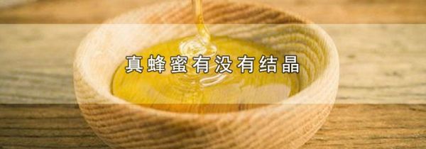 真蜂蜜有没有结晶