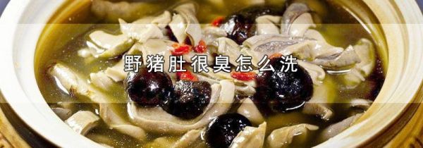 野猪肚很臭怎么洗
