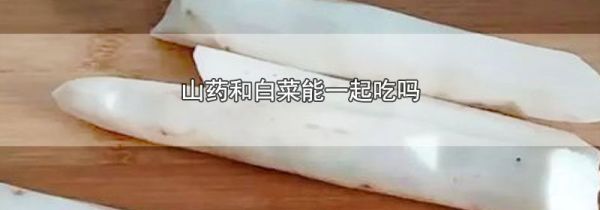 山药和白菜能一起吃吗