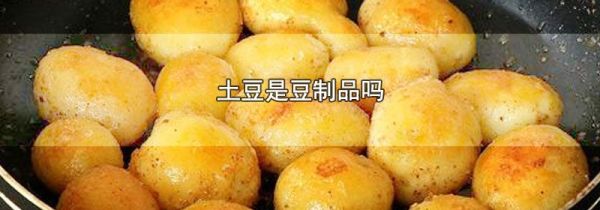 土豆是豆制品吗