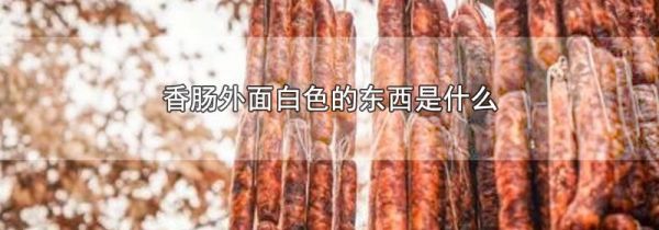 香肠外面白色的东西是什么