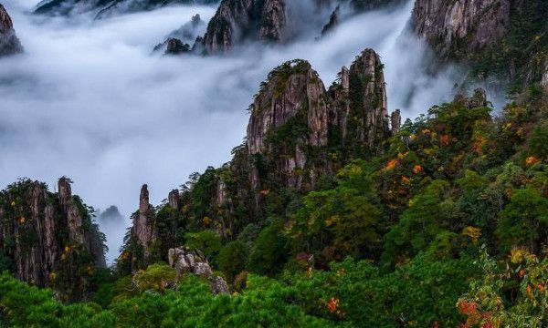 网络男神是什么意思