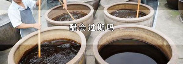 醋会过期吗