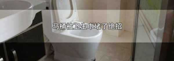 马桶被卫生巾堵了绝招