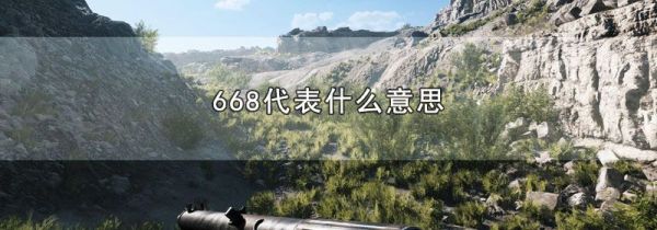 668代表什么意思