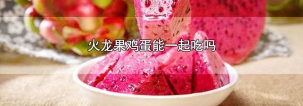火龙果鸡蛋能一起吃吗