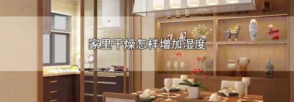 家里干燥怎样增加湿度