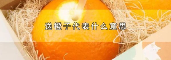 送橙子代表什么意思
