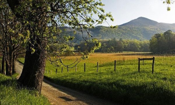 商标上有个R标是什么意思