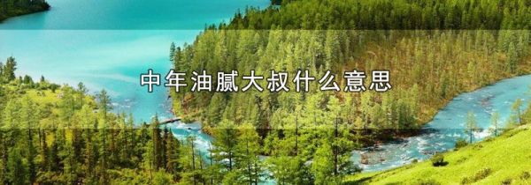 中年油腻大叔什么意思