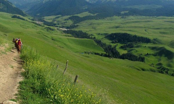 八卦的现代意思