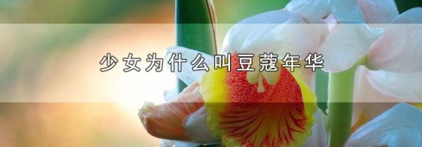 少女为什么叫豆蔻年华