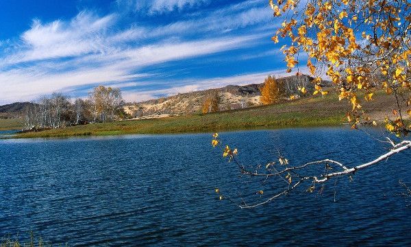 1358代表什么意思