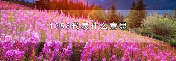 1358代表什么意思