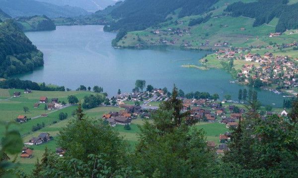 1358代表什么意思