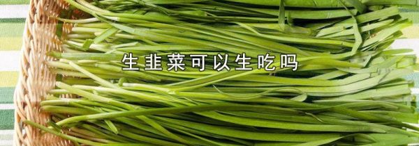 生韭菜可以生吃吗