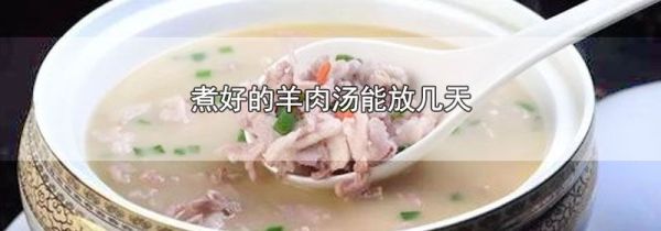 煮好的羊肉汤能放几天