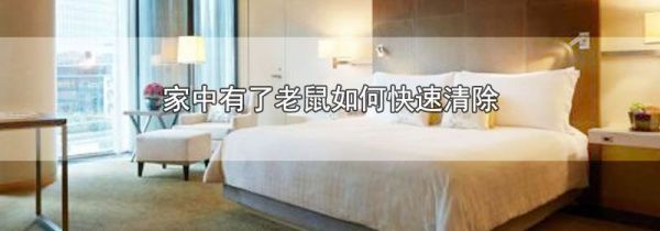 家中有了老鼠如何快速清除