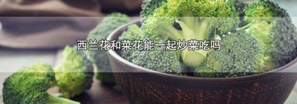西兰花和菜花能一起炒菜吃吗