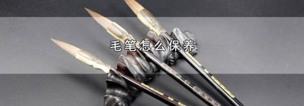 毛笔怎么保养