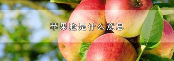 苹果脸是什么意思