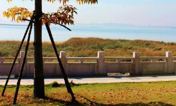 十一月为什么叫子月