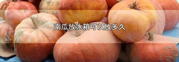 南瓜放冰箱可以放多久