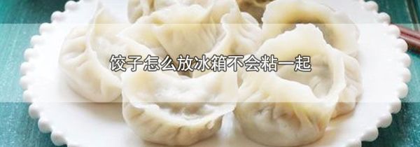 饺子怎么放冰箱不会粘一起